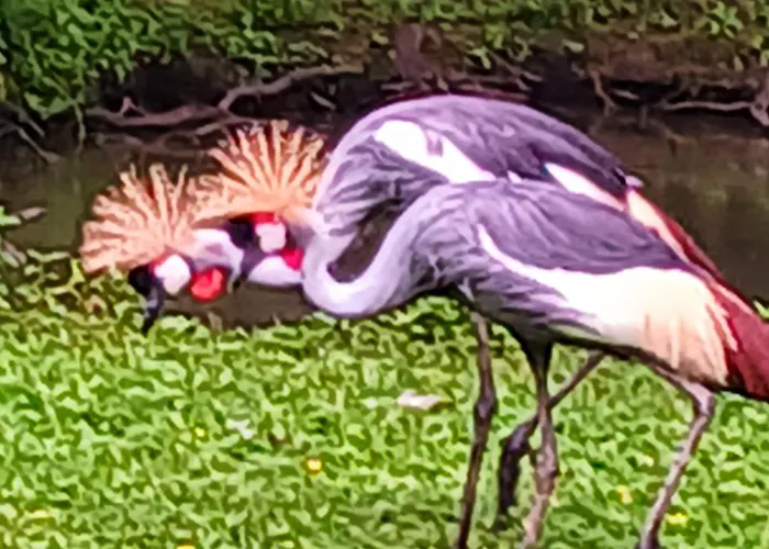 Au Coeur Du Marais